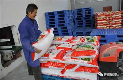 每日60噸大米穩定開州區市場，糧食供應充足無需囤積